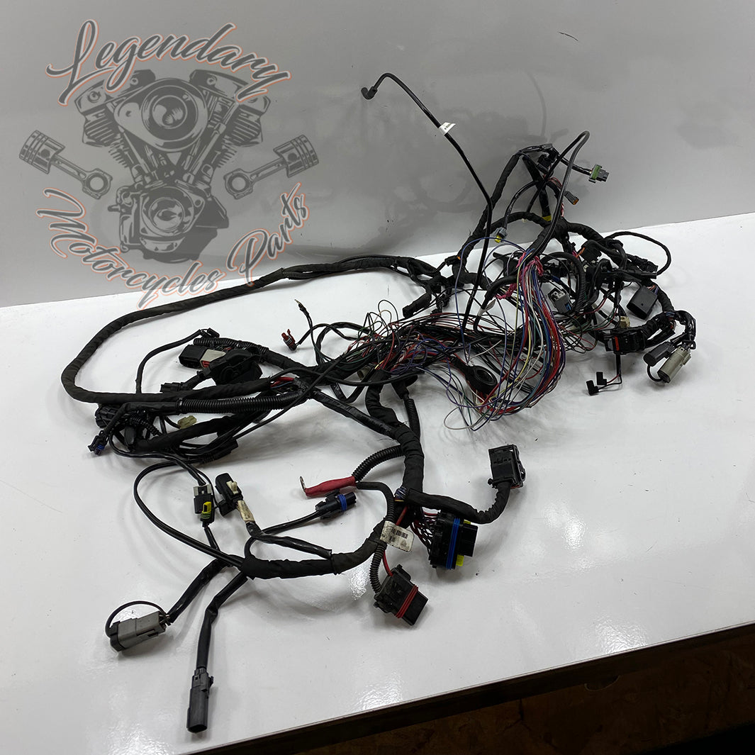 Faisceau principal OEM 69201991